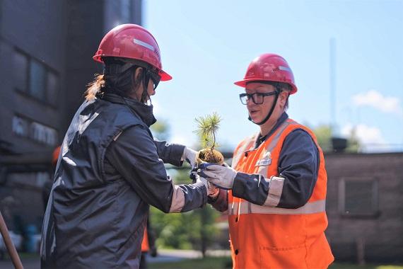 Михайловский ГОК поддержал всероссийскую акцию «Кедры России»